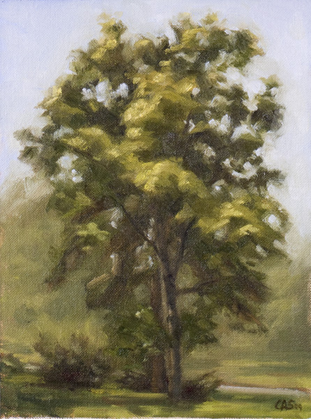 paintings of trees. practice painting trees!