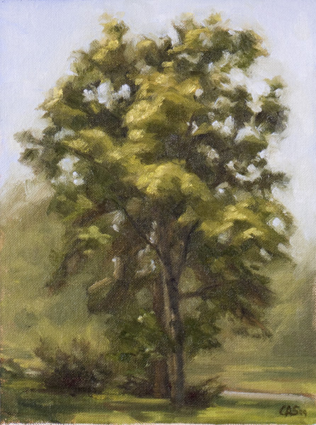practice painting trees! paintings of trees. practice painting trees!