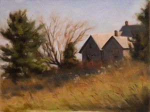 l_orillia_house2 l_orillia_house2