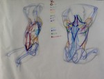 l_anatomy