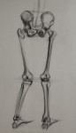 l_anatomy2